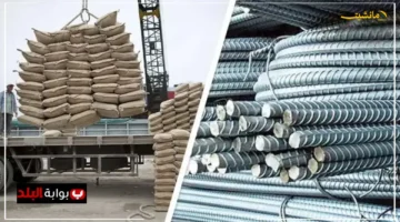 تغير مفاجئ.. أسعار الحديد والأسمنت اليوم تخالف التوقعات بشأن سوق مواد البناء 1